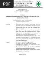Download Sk Pembentukan Tim Peningkatan Mutu Pelayanan Klinis Dan Keselamatan Pasien by puskesmas SN325751167 doc pdf