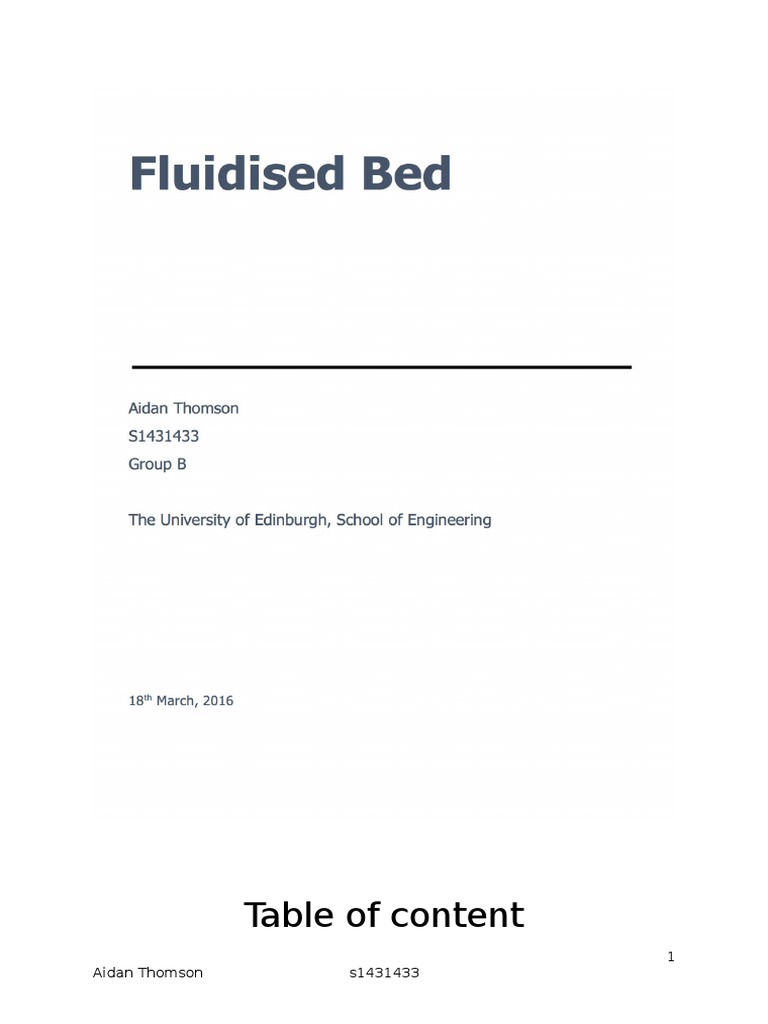 Fluidised Bed Report PDF Density Fluid Dynamics