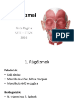 Funkcionális Anatómia - Az Arc Izmai