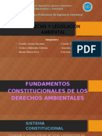 Derecho y Legislación Ambiental