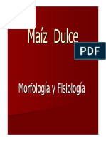 Maiz Dulce Fisiologia PDF