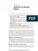 Anatomy of Wound Repair: Key Practice Points