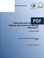 Instructivo Informe Avances Barrido Nutricional V1.0-2012