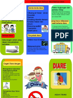 Leaflet DIARE