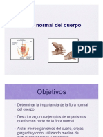 Flora Normal PDF