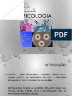 Aula 5 Micologia