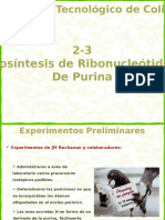 2-3 Biosintesis de RN de purina.pptx