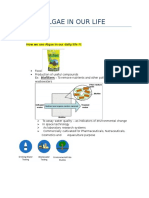 ALGAE IN OUR LIFE.docx