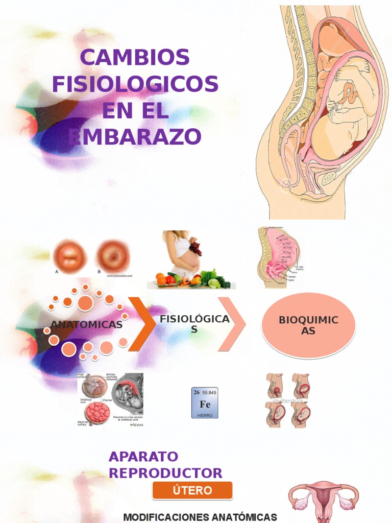 Cambios Fisiologicos en El Embarazo