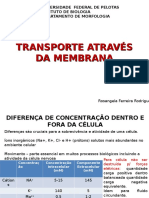 6 Transporte de Membranas 2