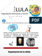 LA CÉLULA Organización Funcional y Estructural 