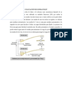 COLOCACIÓN DE SONDA FOLEY.docx