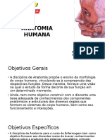 Introdução à Anatomia Humana