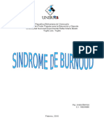 El Sindrome de Burnoud