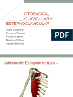 4 Articulacionescpulotorcicaacromioclavicularyesternoclavicular 150327161221 Conversion Gate01