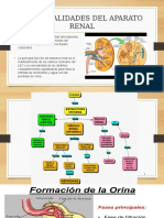 Gaparato Renal Completo