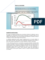 Curva de Tolerancia A La Glucosa