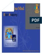 ANATOMY of THE BRAIN Lesson 1A Slide Show (Compatibility Mode) PDF