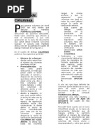 Columnas.docx