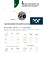 Ficha Tecnica Corozo de Lata