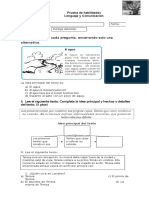 Prueba de Habilidades