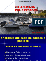 Anatomia Aplicada de Cabeça e Pescoço - Dr. Marcos Alves 14.05