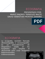 ECOGRAFIA