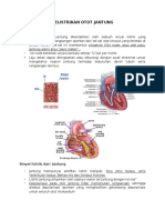 Kelistrikan Otot Jantung