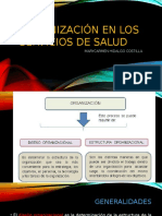 Organizacion en Los Servicios de Salud