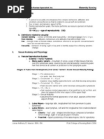 Download Maternity Nursing Review by Jr Robis SN32590736 doc pdf