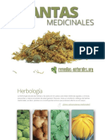 Plantas-Medicinales.pdf