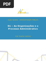 As Organizações e o Processo Administrativo