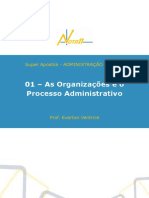 As Organizações e o Processo Administrativo