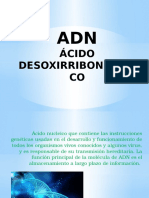 Ácido Desoxirribonuclei CO
