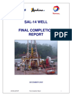 SAL-14 - Informe Final PDF