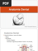 Anatomia Dental.pdf