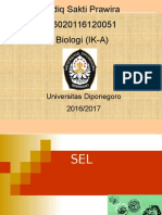 Biologi Sel