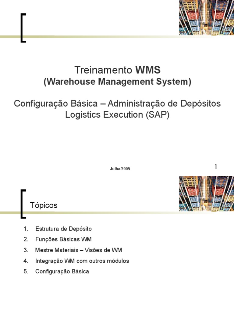 Configuracao Basica - WMS | PDF | Dados | Informação