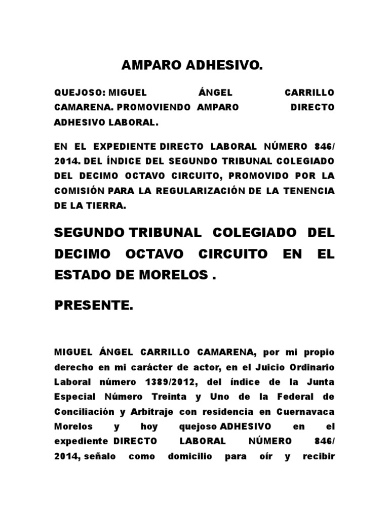 Amparo Directo Adhesivo Laboral | PDF | Caso de ley | Demanda judicial