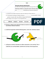 Enzymes Review Worksheet: Name: . Date