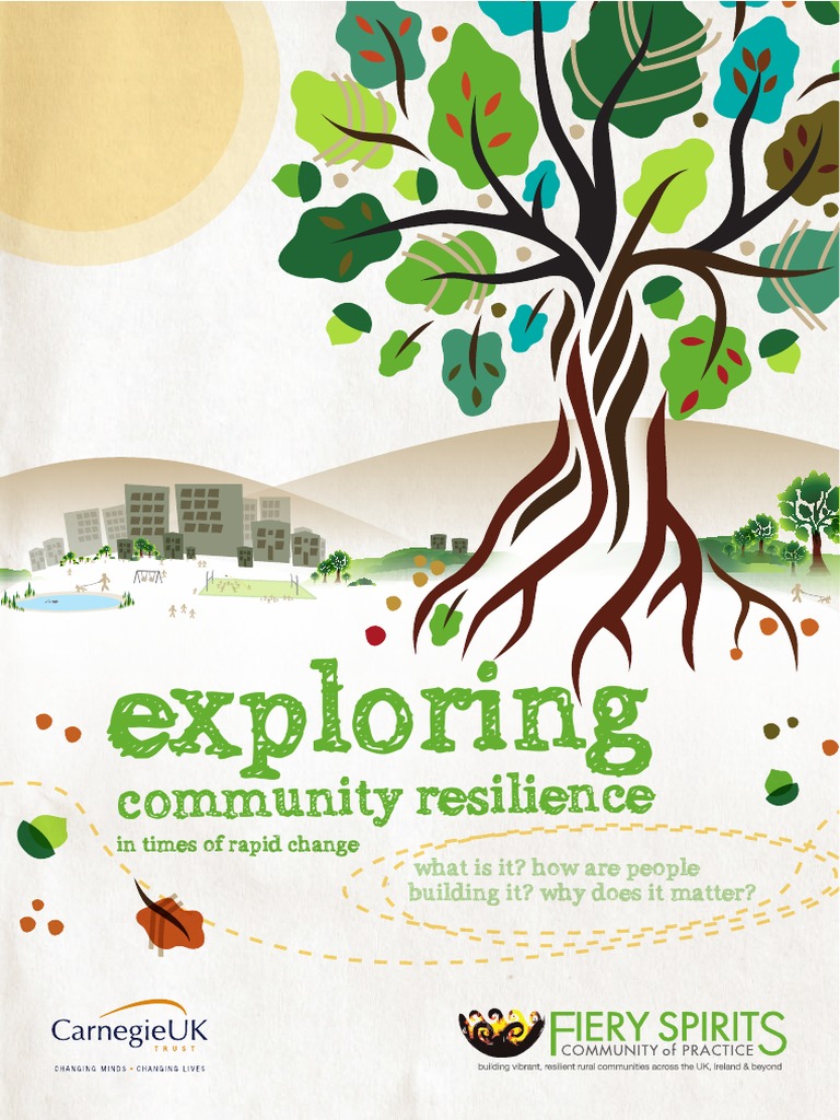 Exploring Community Resilience Pdf Social Capital Science