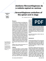 Infarto Fibrocartilaginoso PDF