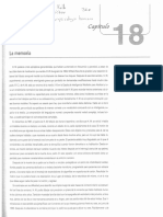 Kolb Whishaw. Neuropsicologia Humana Cap 18 Funciones Superiores PDF