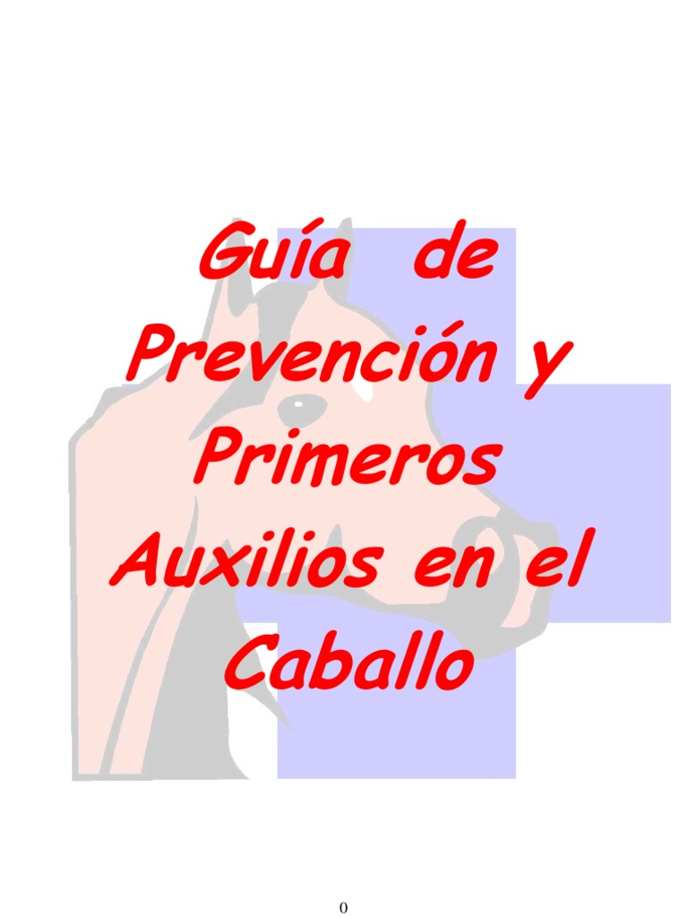 Web Guía de Prevención y Primeros Auxilios en El Caballo | PDF ...