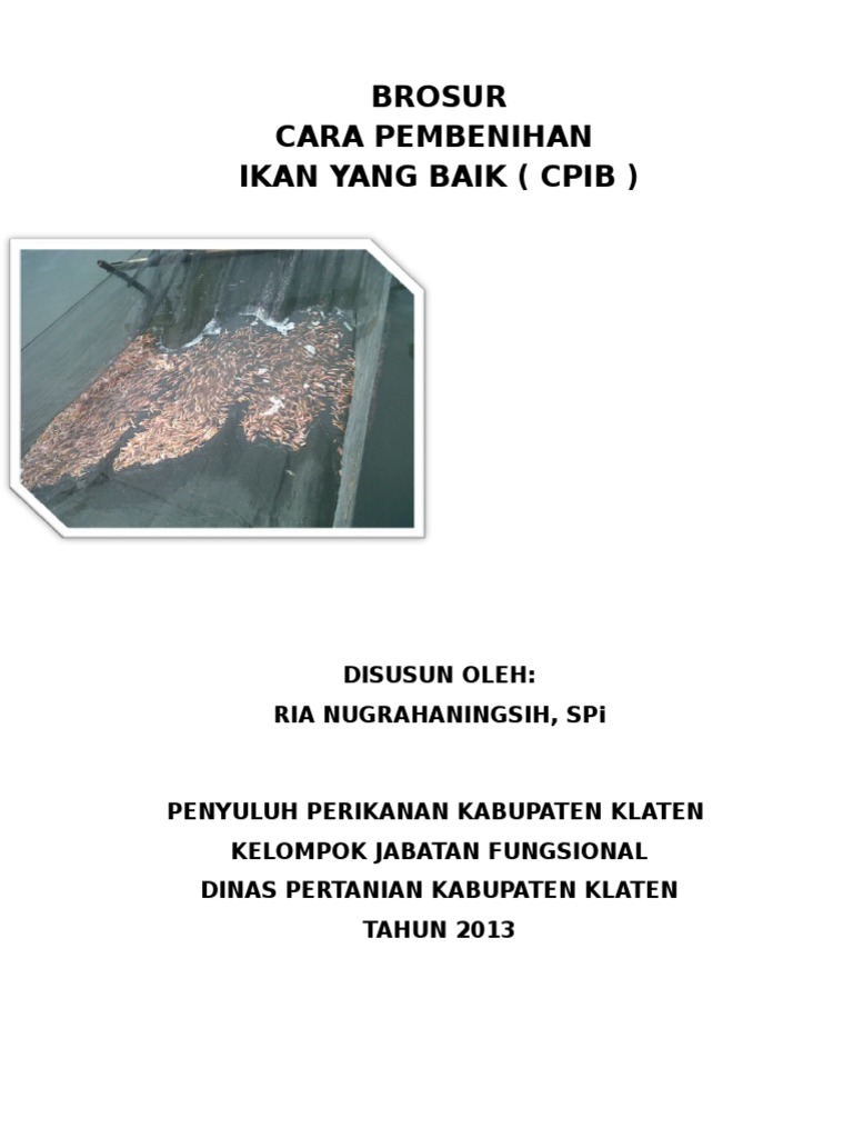 Brosur Cpib 2013 | PDF | Sains & Matematika