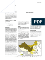 Artemisia PDF