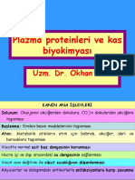 Plazma Proteinleri Kas Biyokimyasi