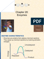 Enzymes Speed Up Reactions
