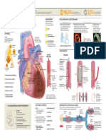 2012_Infarto de Miocardio.pdf