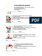 Guia de Ejercicios Basicos